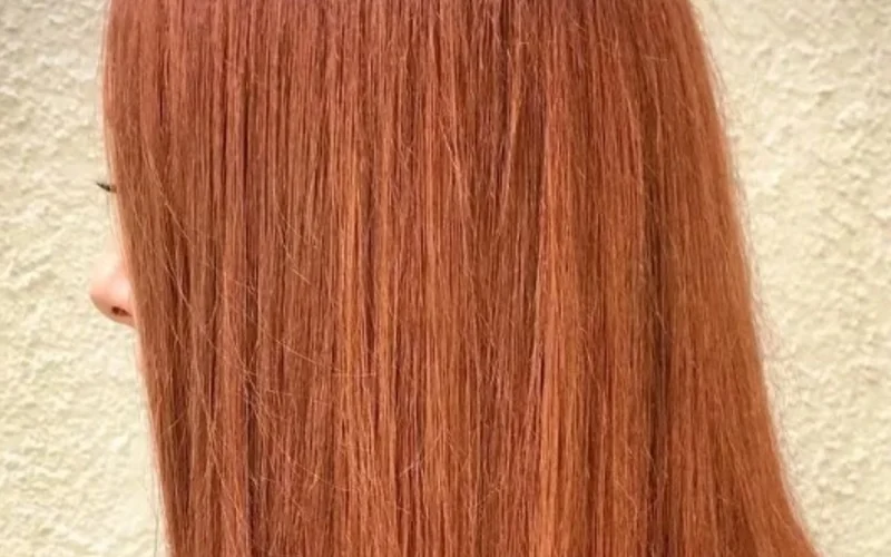 Imagen de galería