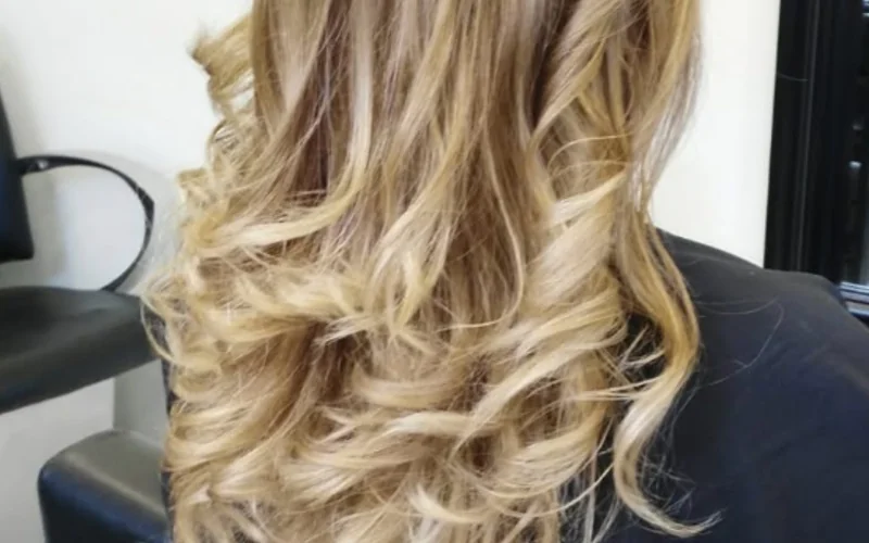Imagen de galería
