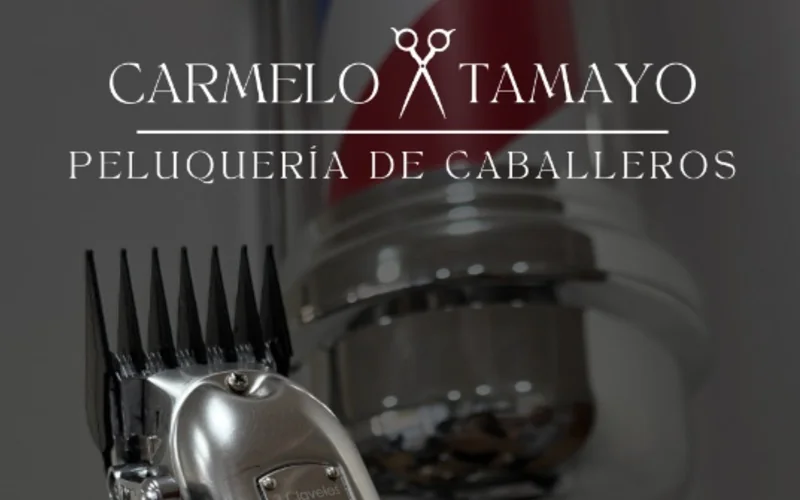 Imagen de galería