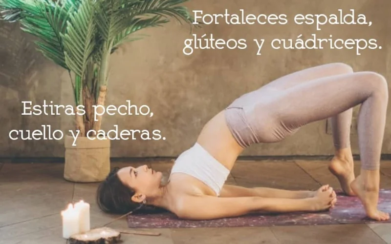 Imagen de galería