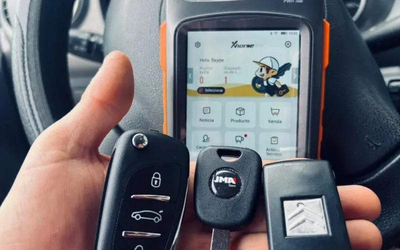 Imagen de galería